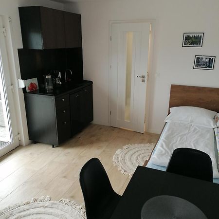 דוז'ניקי ז'דרוז' Apartament U Przewodnika Sudeckiego מראה חיצוני תמונה