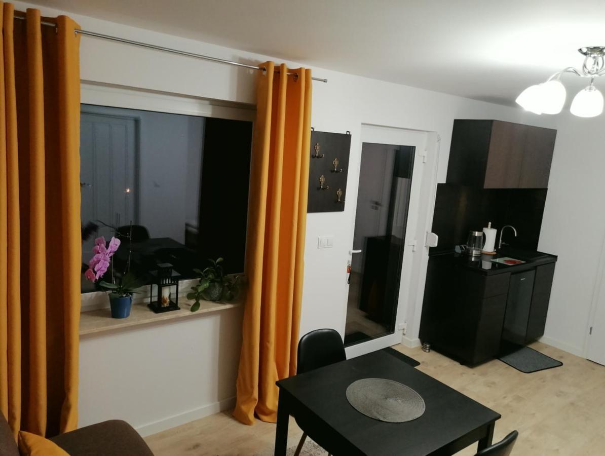 דוז'ניקי ז'דרוז' Apartament U Przewodnika Sudeckiego מראה חיצוני תמונה